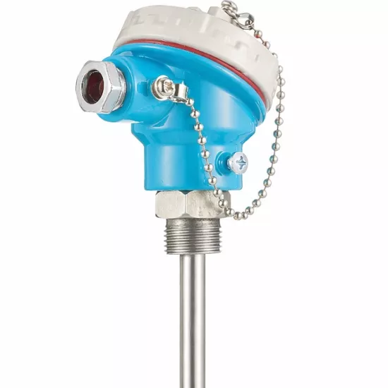 316 Paslanmaz PT100 Kafalı Tip Çift Elemanlı Sensör - Çap 10mm - G1/2