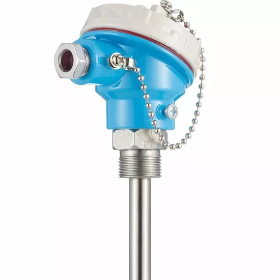 316 Paslanmaz PT100 Kafalı Tip Çift Elemanlı Sensör - Çap 12mm - G1/2