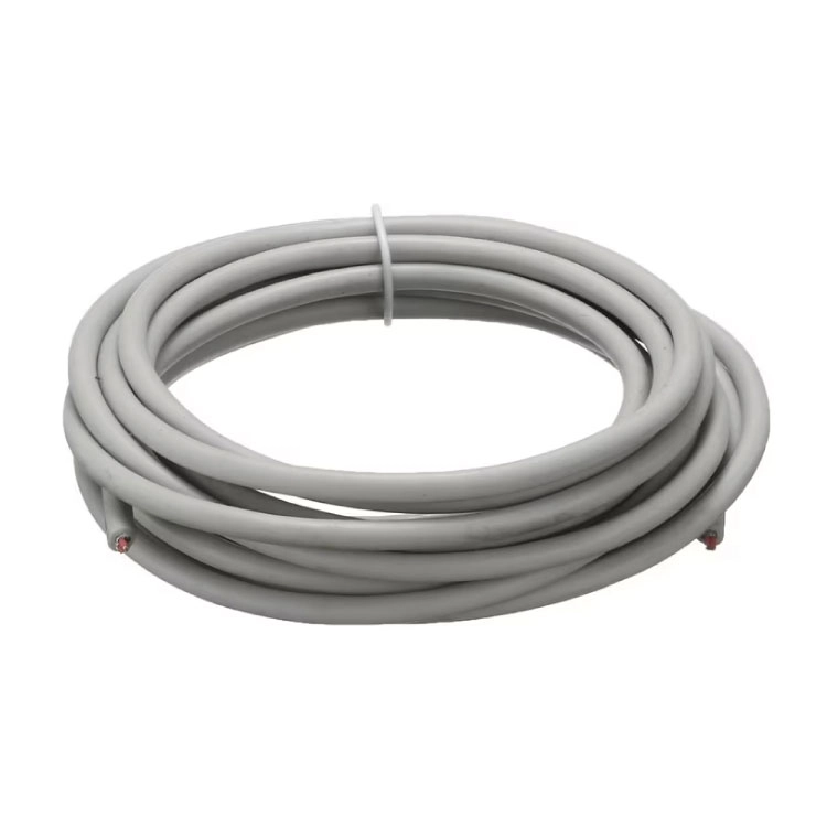 Bayonet Tip Kablolu PT100 6x30mm Silikon Kablo